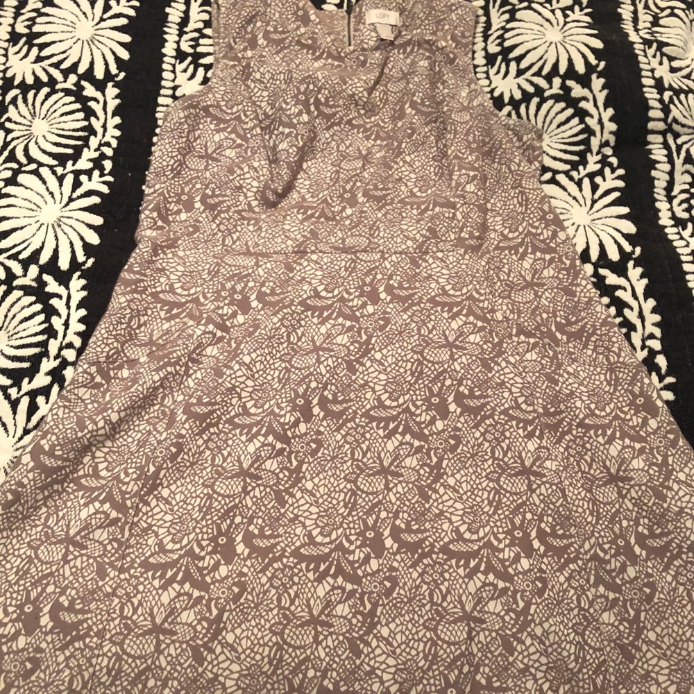 Ann Taylor Loft Cream/Taupe Dress!